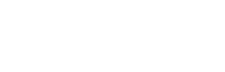 Brilliant Experience logo